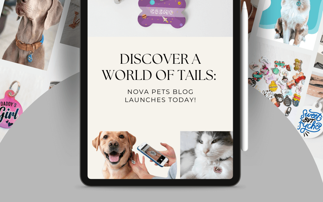 Discover a World of Tails: Nova Pets Blog Launches Today!