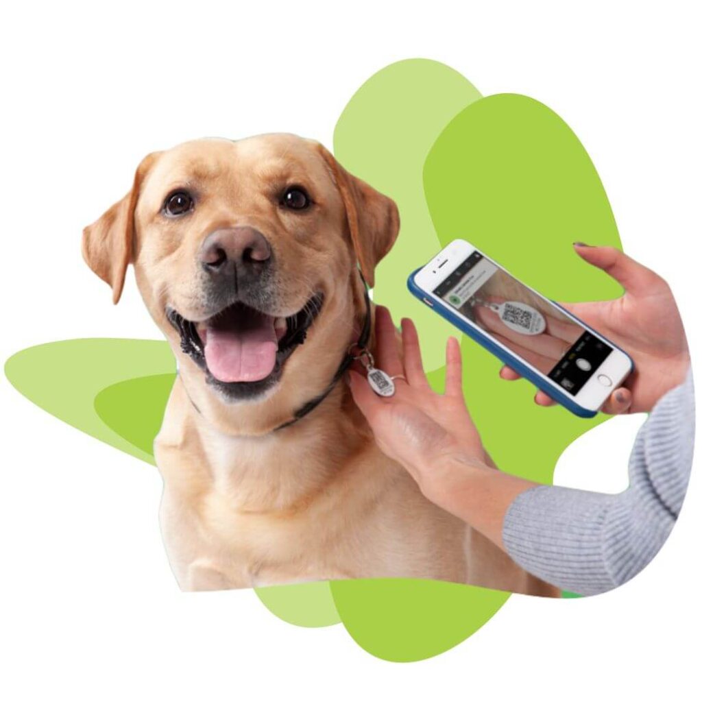 Nova Pets_Pet ID Tags