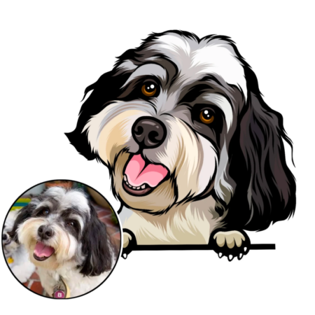 Nova Pets-Animated Pet Portrait